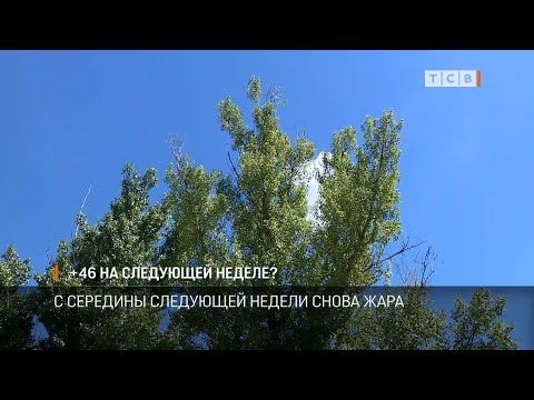 +46. ����� ����������� ���� ��������� �������� ����� �� ��������� ������. �� ��� ������������� ������. ����, �������, �����, �� �� ��������� �������������