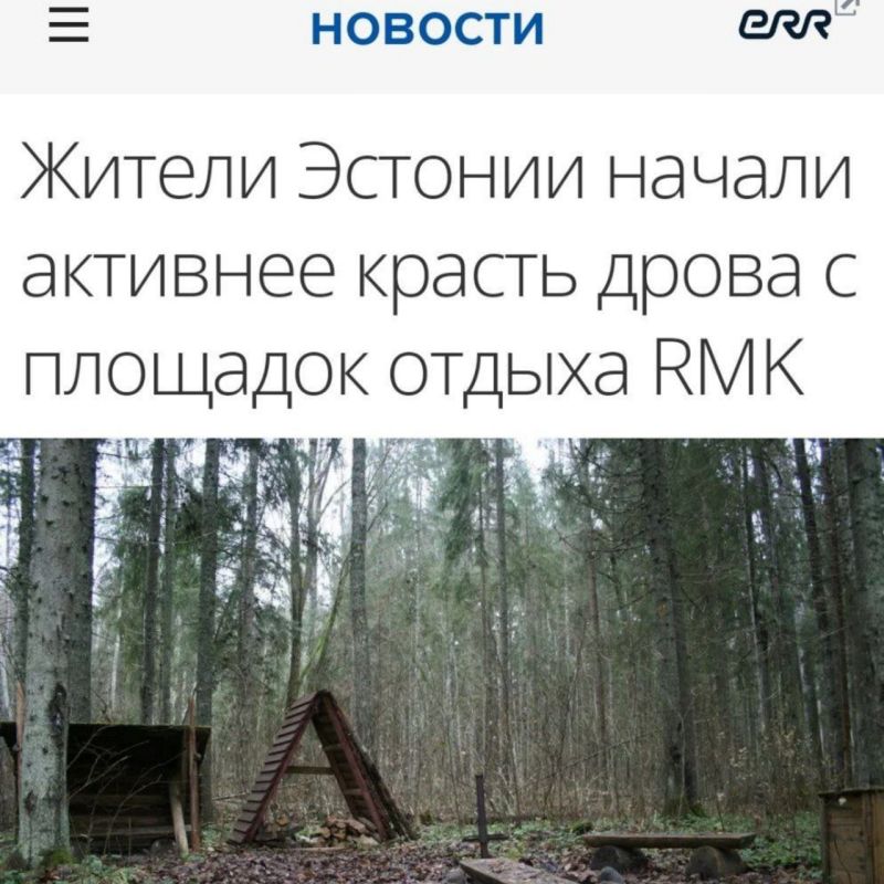 ���� ������.