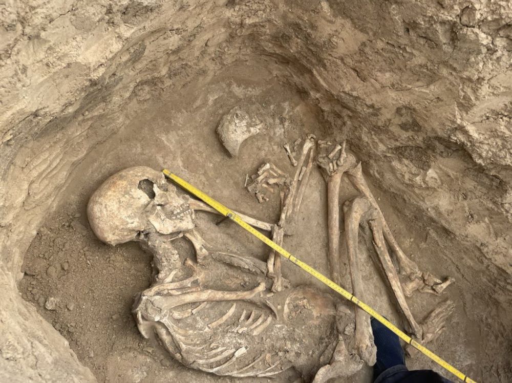 � ���� ������ ��������� ����������� ������