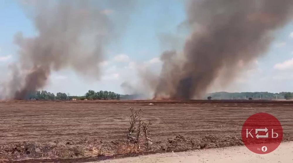 ������� ������. ����� ��������� ����. ����� ���� ����� � ������� �����. ������� ����� �����. ������� � ������� ���� �������� ����� ����� ������. �������� �������� �� �����