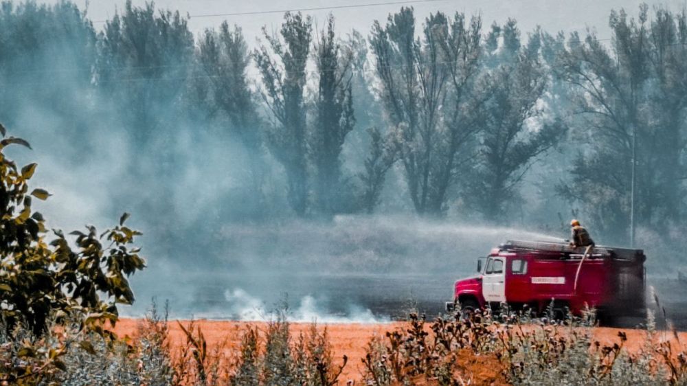 ����� ��������� ���� �� ��������