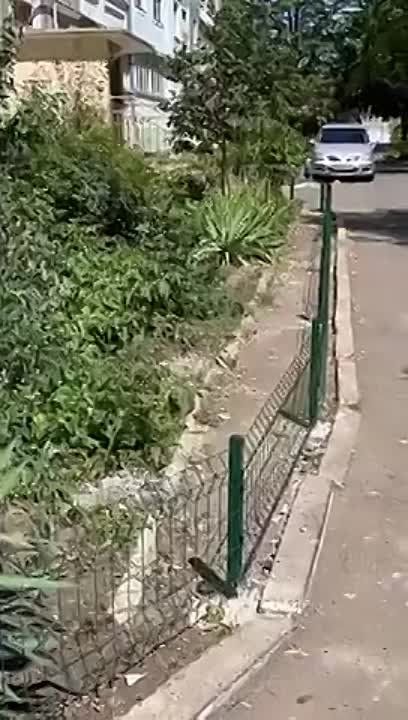 � �������� �� ����� ����������� �� ����� 40 ��� ������ �������� ����-�����