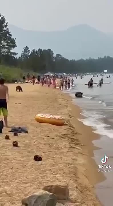 ����� ������� ���� � ������