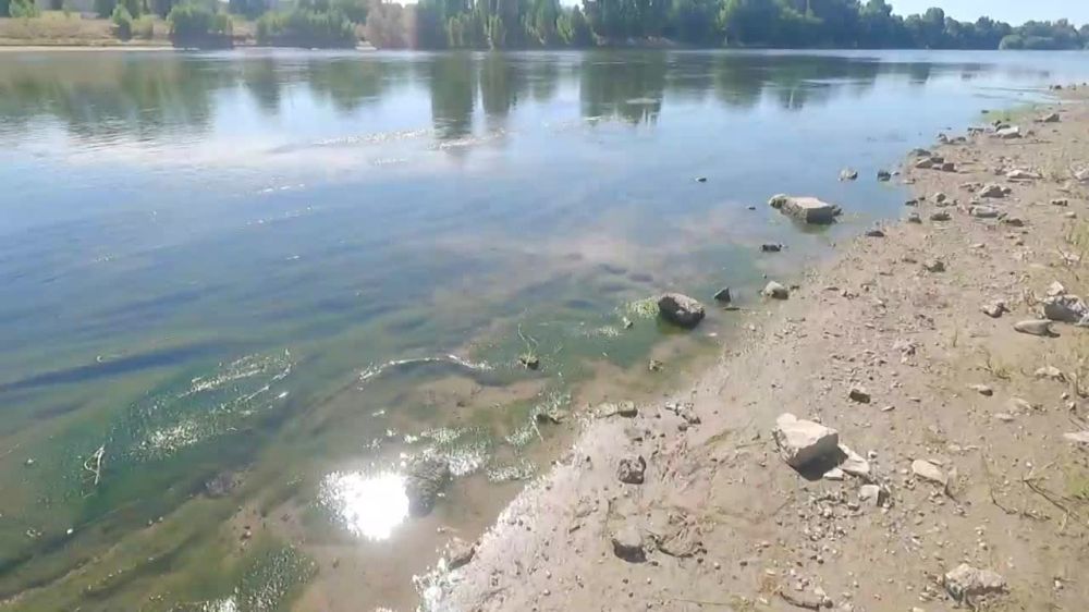 ����� �������������� ������� ����������� ������� ����� �������� ����� � ������� ���� � ��������