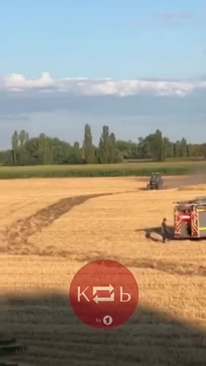 � �������� ����� �����. ����� �������� ���� �������. ������ � ��� � ���-�� ����������