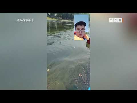 ������, � �� ����� ����, � �� �����?