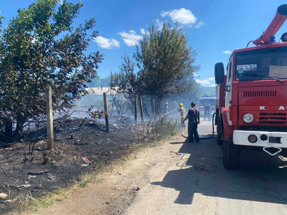 �� �������� ����� ����� �����