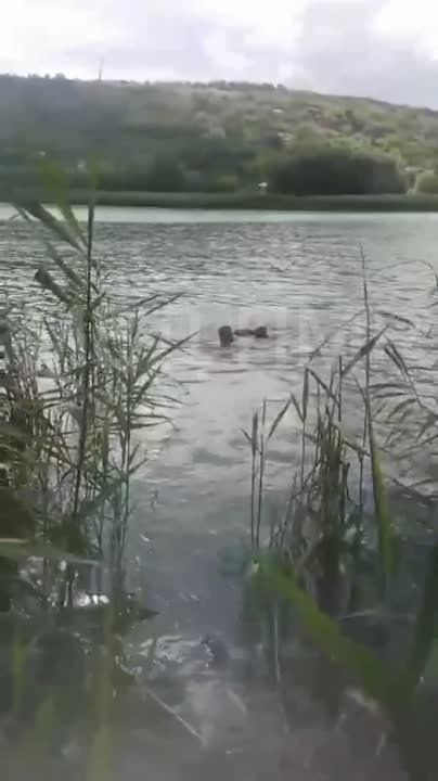 � ������� ��-�� �������� ����� ���� �� ��������� �������