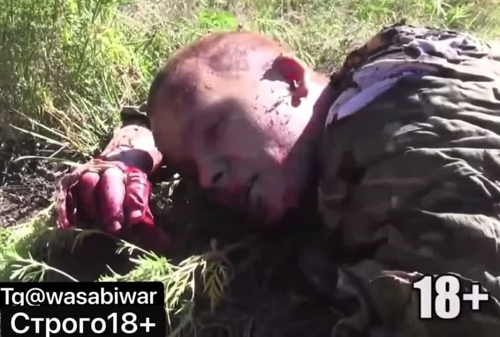 ������� �������. ���������!