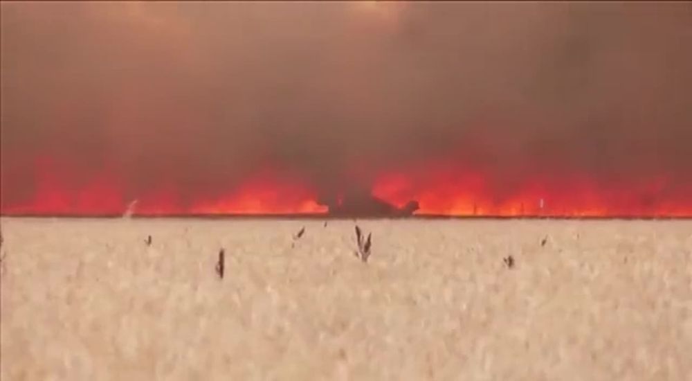 � ������� ������ ������ ������ ��� �� �����