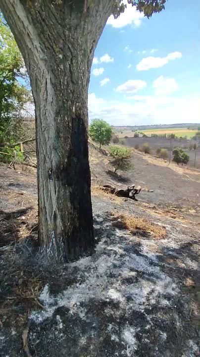 ����� � ����������� ����� ������ ���� �����