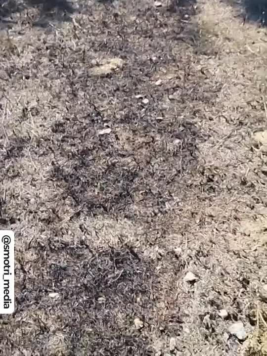 ���������� ������������ ������� ����� �� ����������� ���