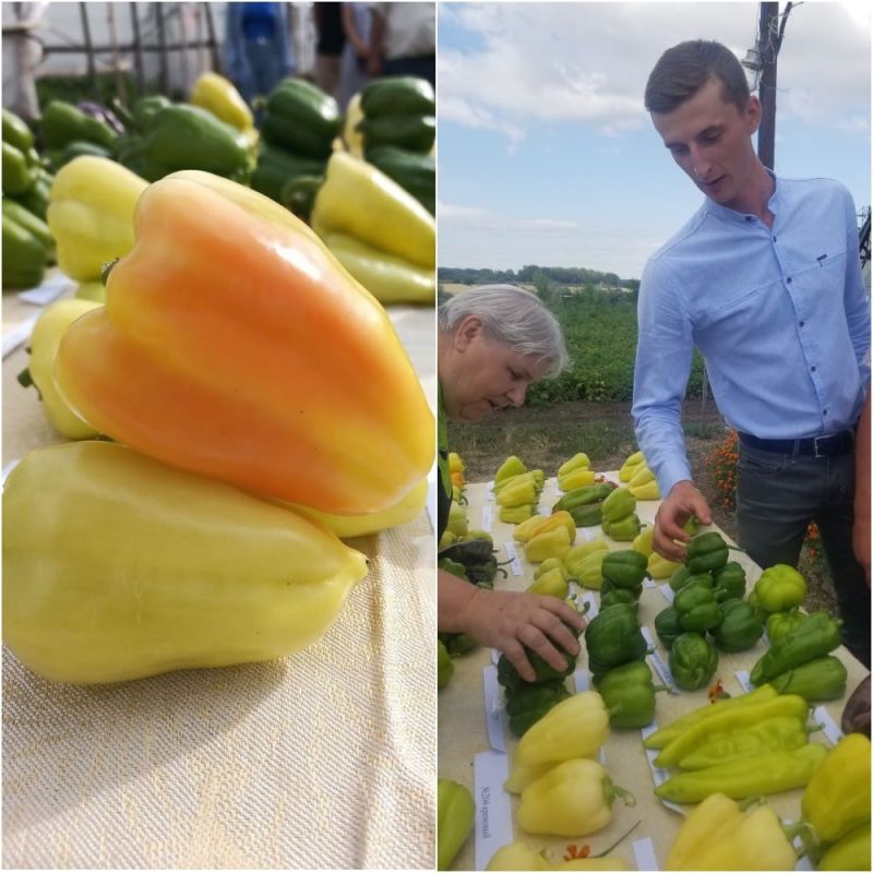 �� ����� ��� ������ ������������ ���� ������� �������