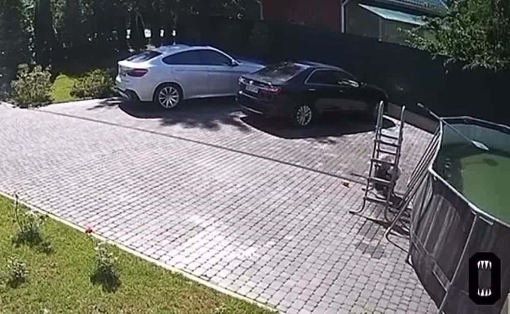 � ����������� �������� ������ �� ������