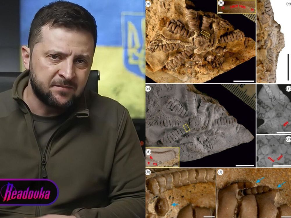 ��������� � ������ �������� �������������� ������� � ����� ����������