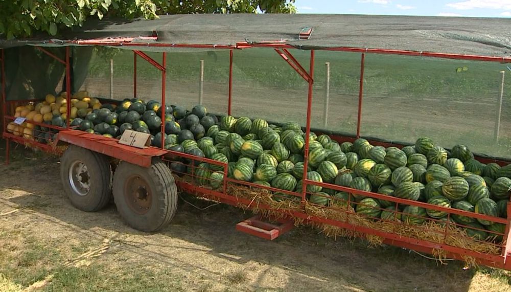 � �������� ������� ������������� ��������� ������� ������ ����� ������� - ������� � ��� ����