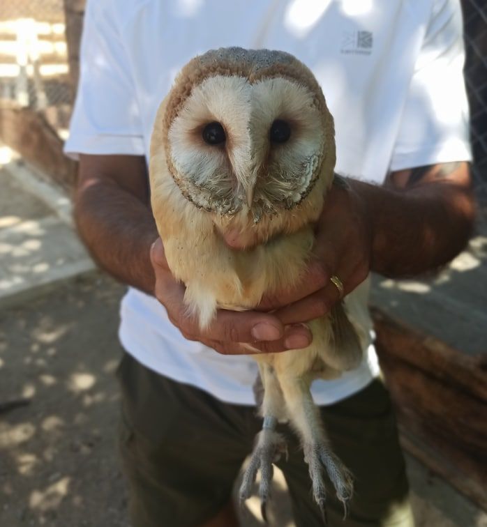 ����� ������ ����� ������� ������ ����� �� ������� ���������