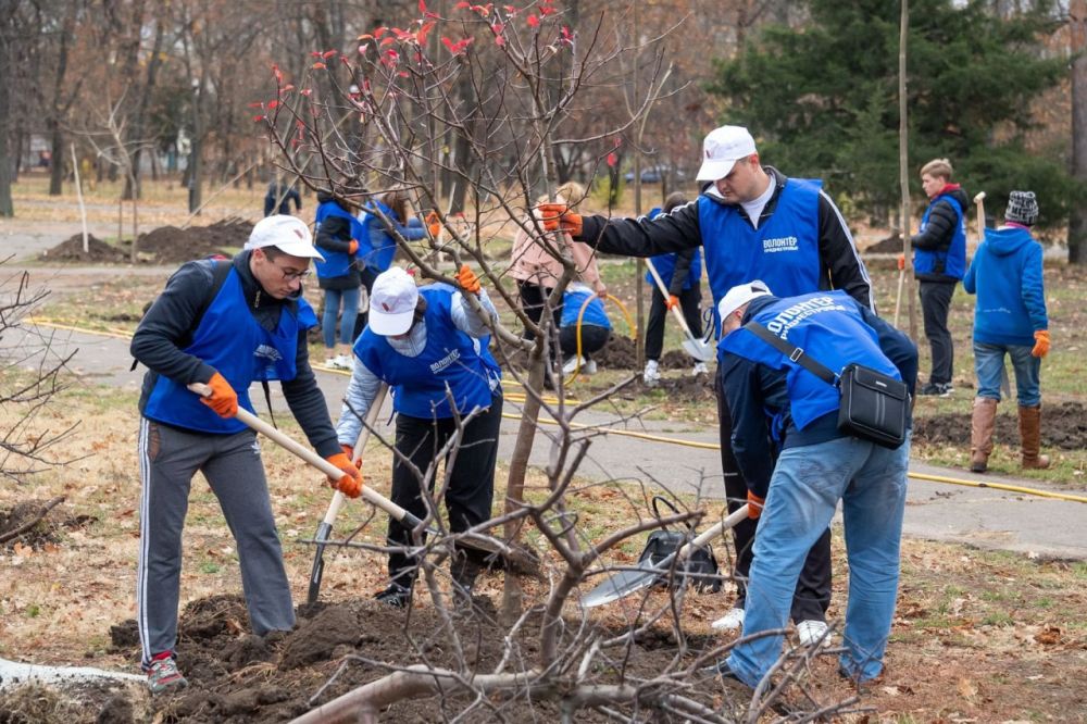 ������ ����������-������������