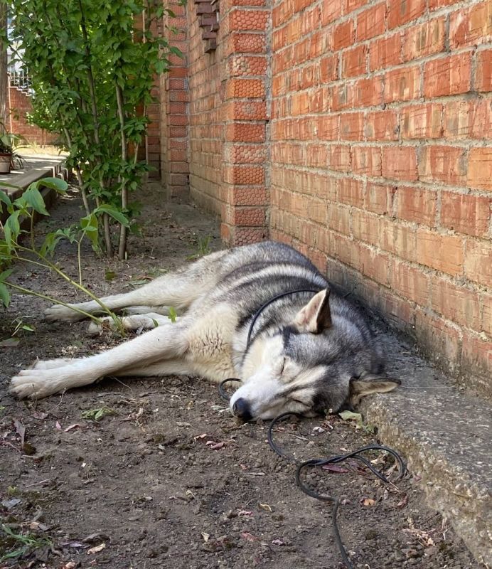 ������ ����! � ����������� ����������� ����� ������ (����� ��� �����)