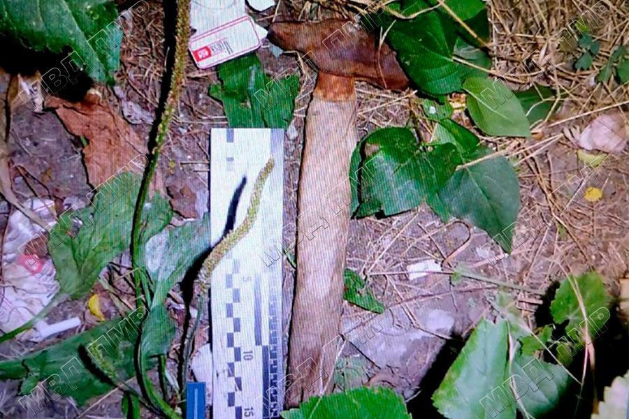 � �������� ������ ������� ��������� ������ ������� � ������ � �������� �� ��� ��������