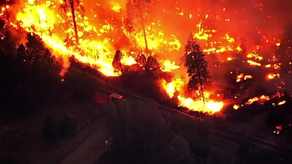 � ���������� ����� ���� ���� ������������ ������������� �����