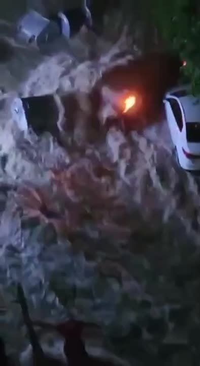 � ���� ������ ������ ���� ������ ����������, � ������� ����� ����