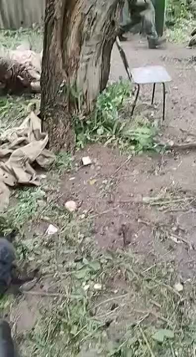 ���������� ������� ��������� �� �����, ����������� �������� � ���� �����