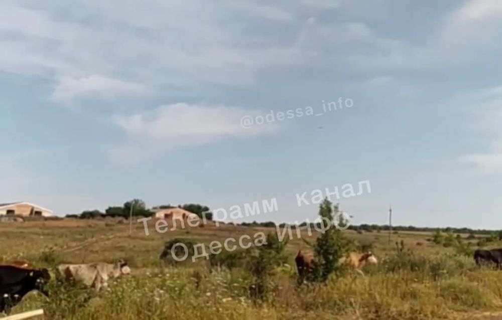 ������ � ���� ��� �������� �������� ������� � ������� �������