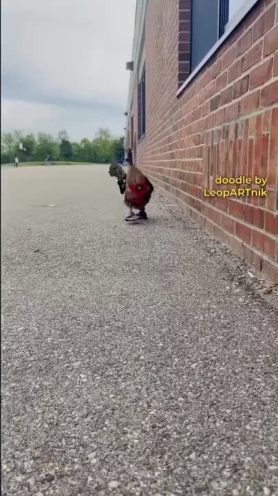 ����� ��������� � ����� ������