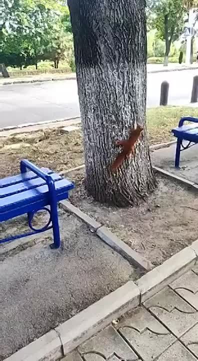 ����� � ������.. @krepostpmr