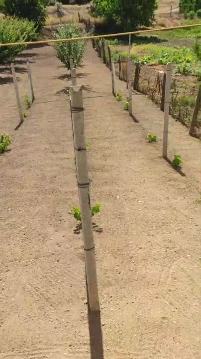 ��������� ������� � �������� �������