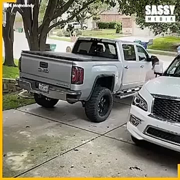 ���� ���������, �� ������ �����