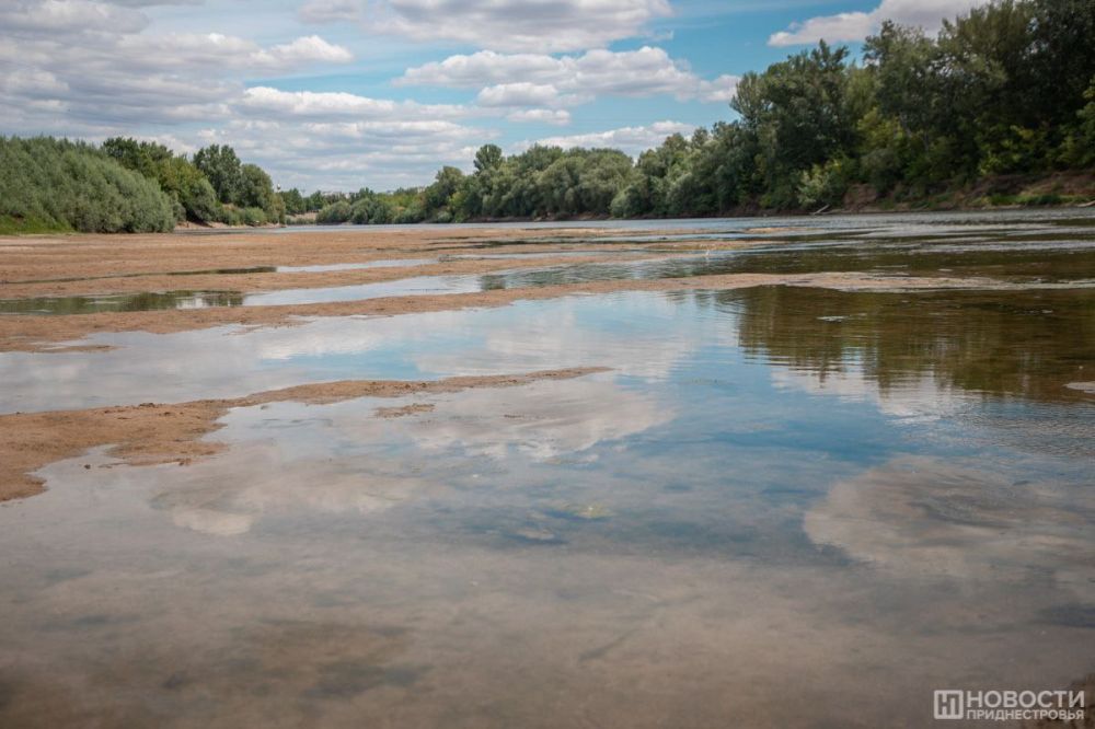 ������ �������. ��� ��� ������ ���� ������� � ������������ ����, ������ ����� �� ������. ������� � ���������� ������ � �������� �������, ��� ����������� ����� ����