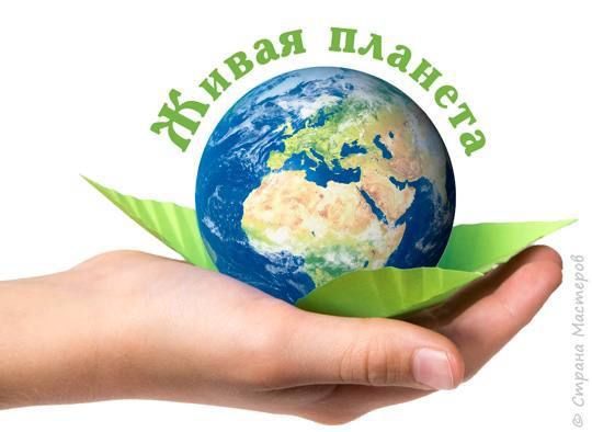 ������ �������� ���� ������ � ������� �������� ?