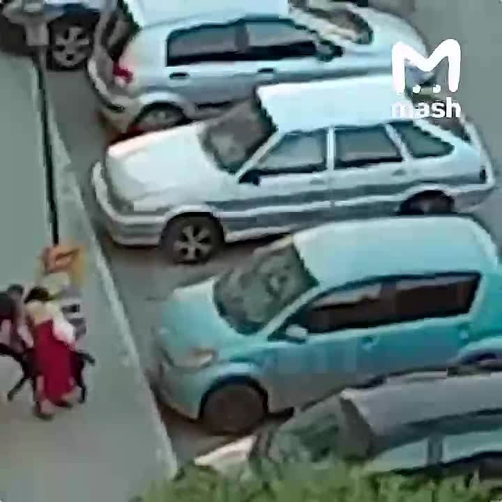 � ������������ ������� ������� ������ ����� �� ������ �������, ������� ������� ���� ���������� ��������� �� ��������