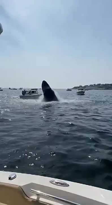 � ����� ����������� �������� ��� �� ��������� ���� ���� � ��������� �� �����