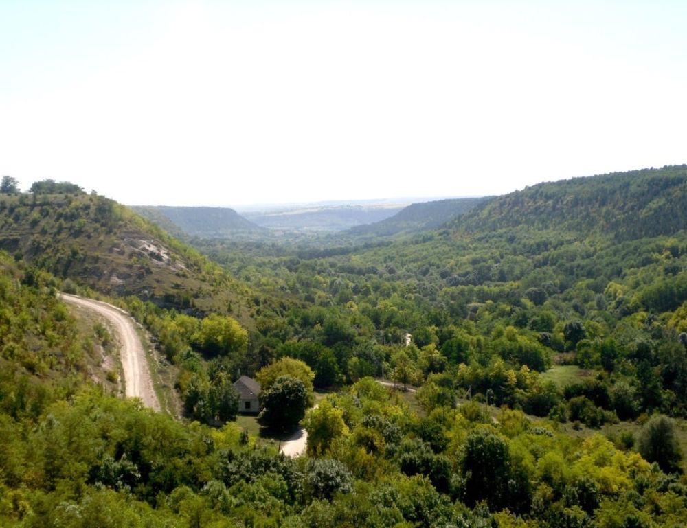 ��������� ������ � ������������� ��� ��� ����������, ��� �������� �� ��������? ��� ����� ������� �� �������������� ������� � ����������� ���