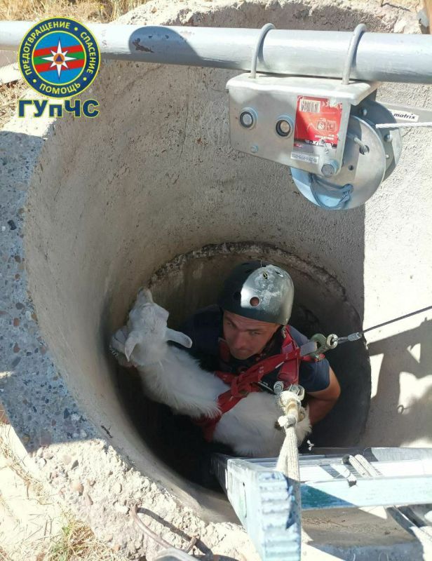 � ��������� ������ �������, �������� � �������