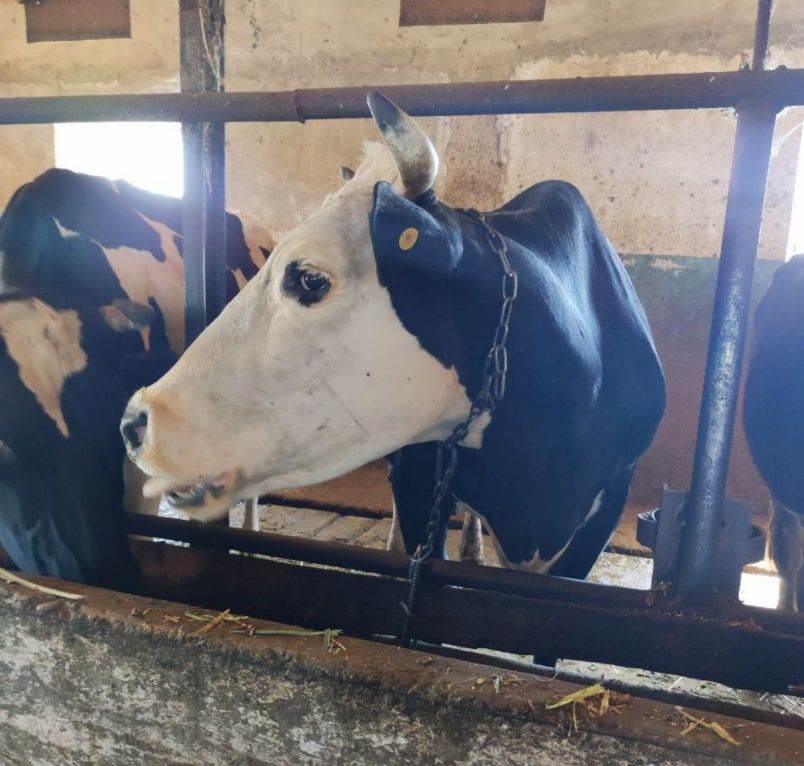 ������ ��������� �� �������� ����� � ���������������