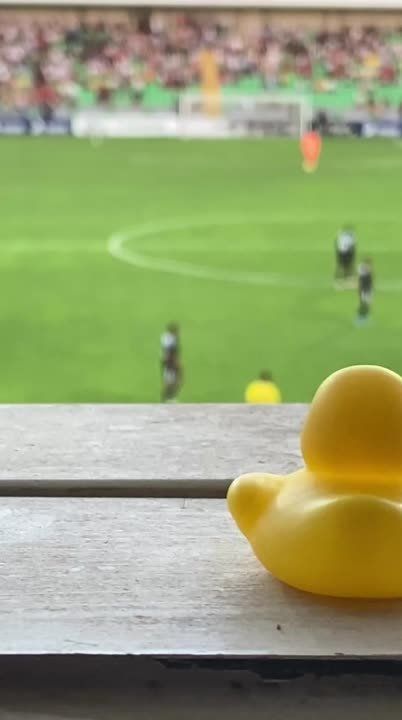 ��� � �������. ����� �� ��������