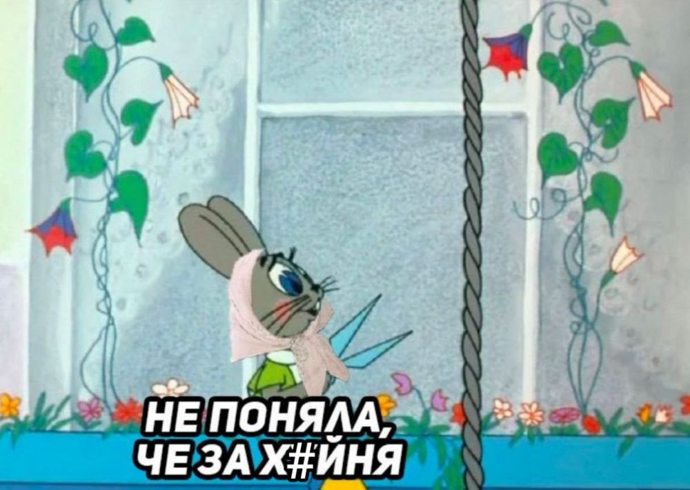 � ������ ����� �� 12-� ����� ���������� ���� ������������� ����������