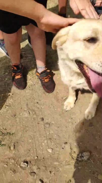 ��������� ������ ���� �������� ������� ���� ������ ����� �� ����� �� ������