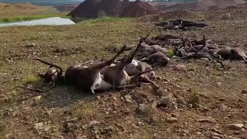 � ������ �� ����������� ������� ������� ������� ����� ������