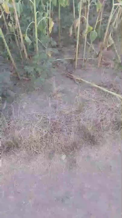 �������� �� ������ ������������� ����� ���� � �������� �������������� � ������ ���������