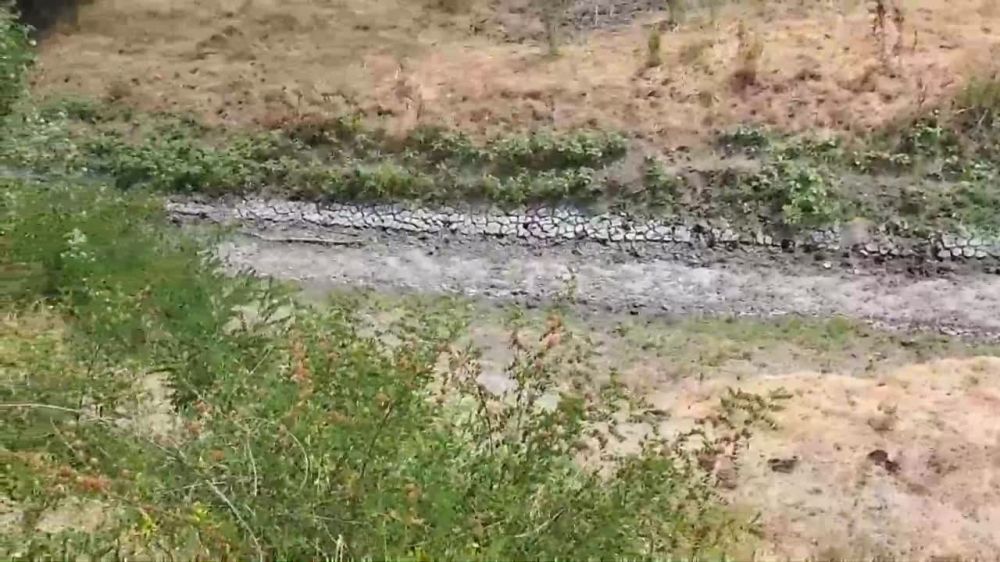 ���� ���������� �������� �������, ��� ����� ������� � ������