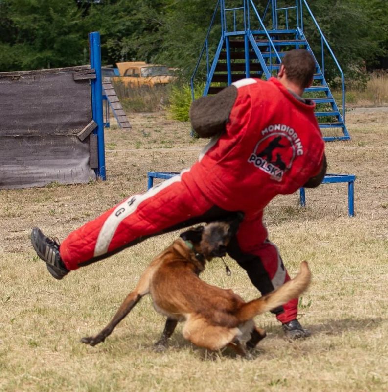 � ������ ������ ��� ����� ������� ��������, ��� ����������� ������ ����������� ��������