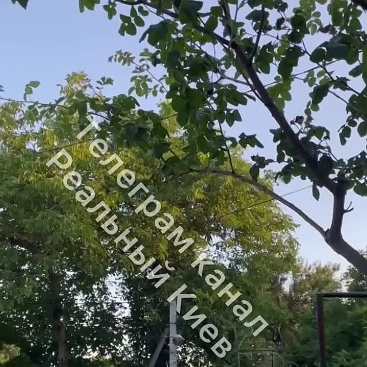 � �������� ������� �� ������� ������