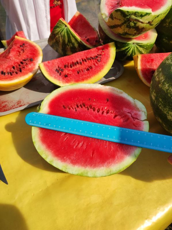 �� �������� �������� ������� ������ �� ���, ������� � ��� ������� ��� ���, ��� ������ ���� ������ �����