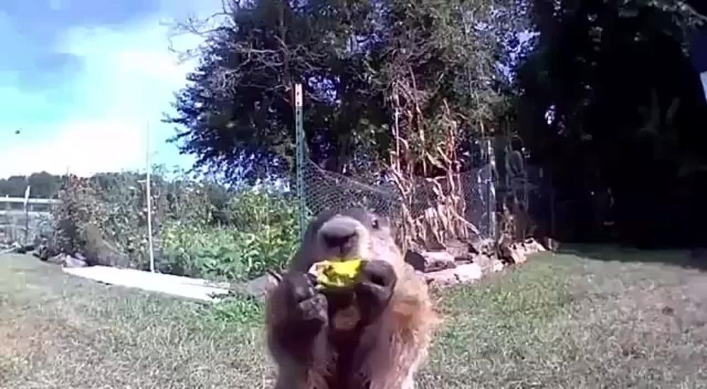 ������ ����� �� ������ ���� ��� 4 ��� ������ ������ ������� �� ��������, � ������� ��� ����� ����� ������� ����������