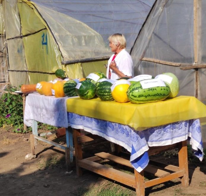 � ��� ����������� ����� ������� � ���� �������